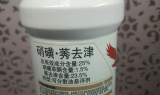 玉米苗后除草剂能治灰菜马齿菜吗